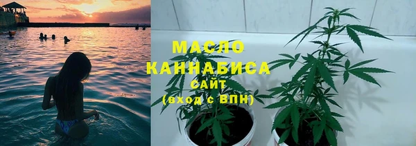прущая мука Дмитриев