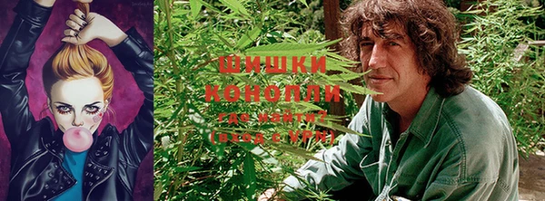 ALPHA-PVP Дмитровск