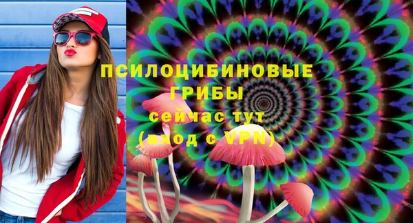 2c-b Дмитров