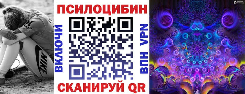 Псилоцибиновые грибы Psilocybe  Купить закладки  Ипатово 